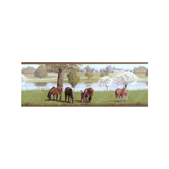 Childrens Horse Wallpaper Border