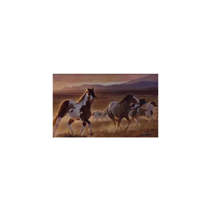 Desert Horse Full Mural