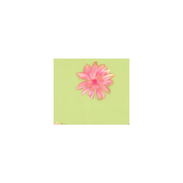 Pink Daisy  Wallpaper KG8753