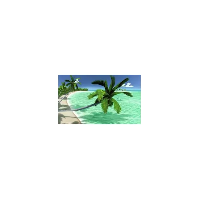 Palm Tree Paradise Chair Rail Mural
