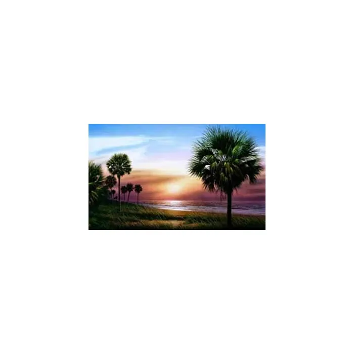 Palmetto Sunrise Mural