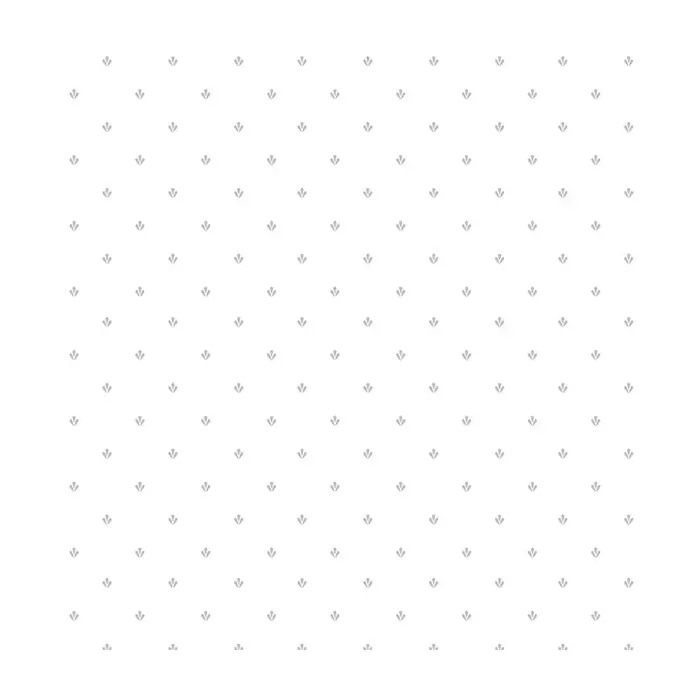 Lilly Paws Wallpaper Grey Norwall Wallcovering CK36605