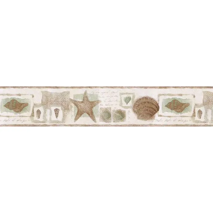 Reflective Sea Shells SA75779W Wallpaper Border