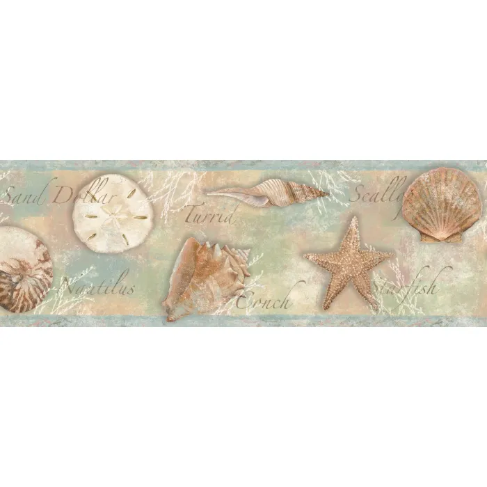 Quinten Blue Seashells Toss Wallpaper Border Chesapeake BBC46051B