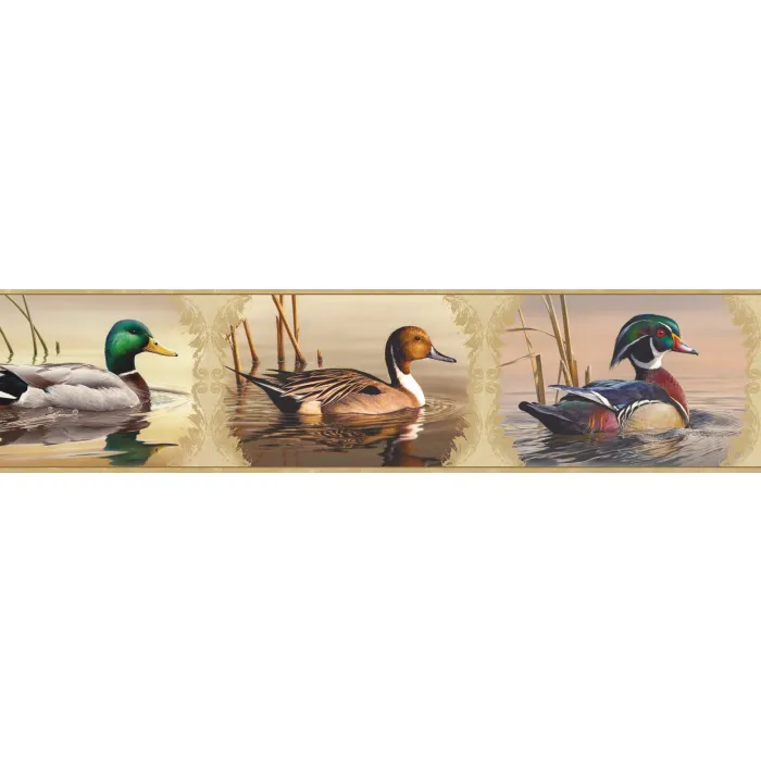 Winning Cream Waterfowl Portrait Blocks Wallpaper Border Chesapeake BBC48521B