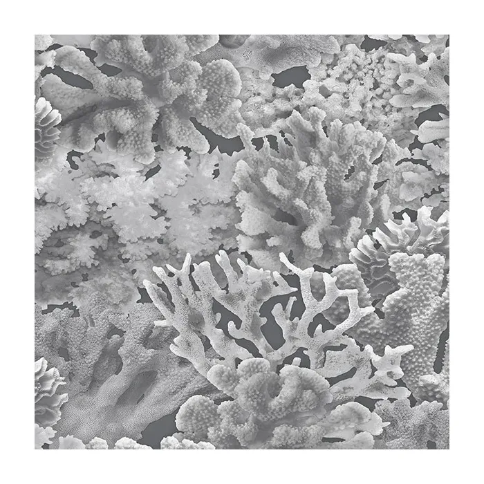 Coral Wallpaper Grey, Dove, Charcoal, Black Norwall Wallcovering FH37503