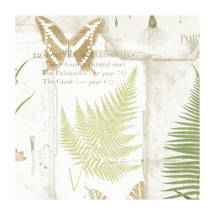 Parchment Ferns Wallpaper Beige, Green Norwall Wallcovering FK34415