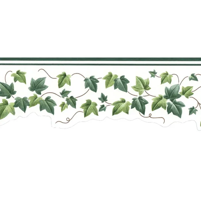 Green Leaf Ivy Vine Wallpaper Border - Signature