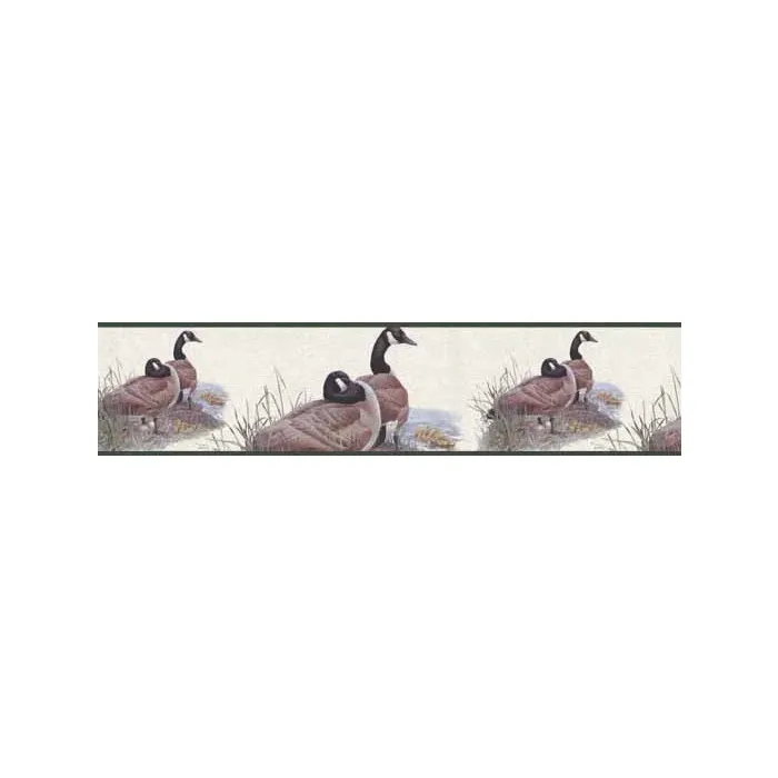 A Family of Geese Green Wallpaper Border