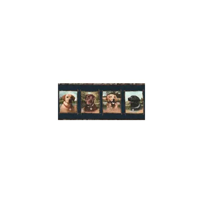Blue Labrador Dog Wallpaper Border