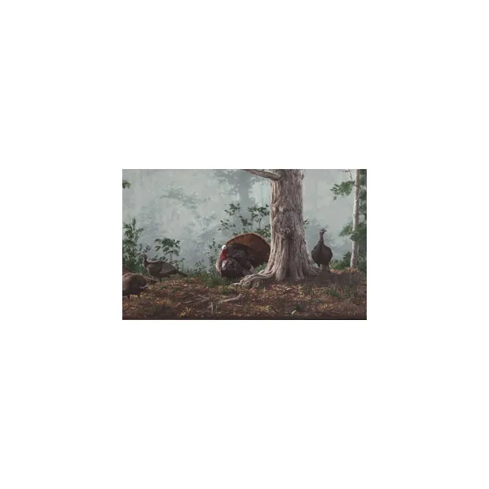 Gobblers and Hen Turkey Wallpaper Border HG522B