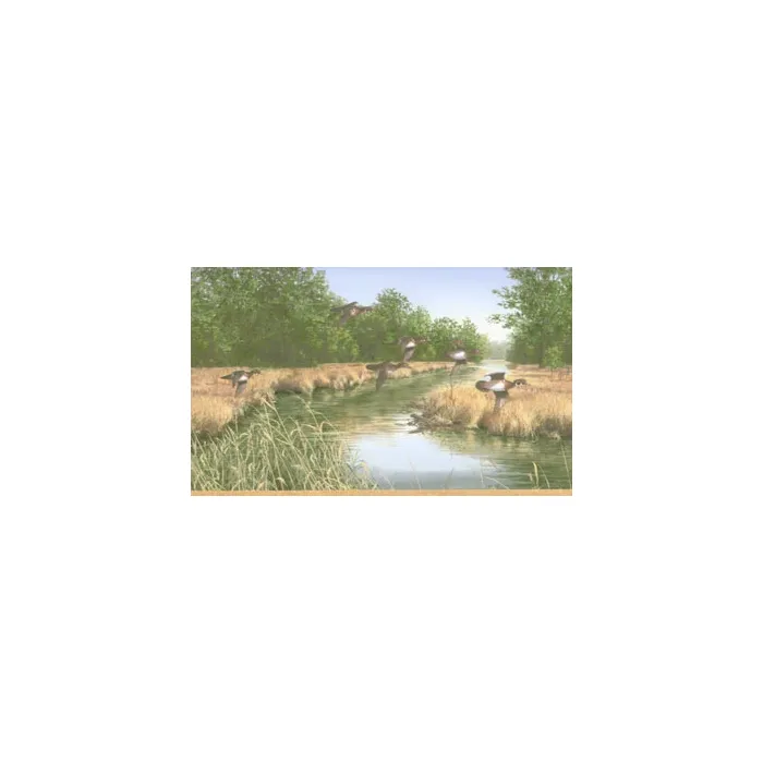 Duck Hunters Dream Wallpaper Border HG546B