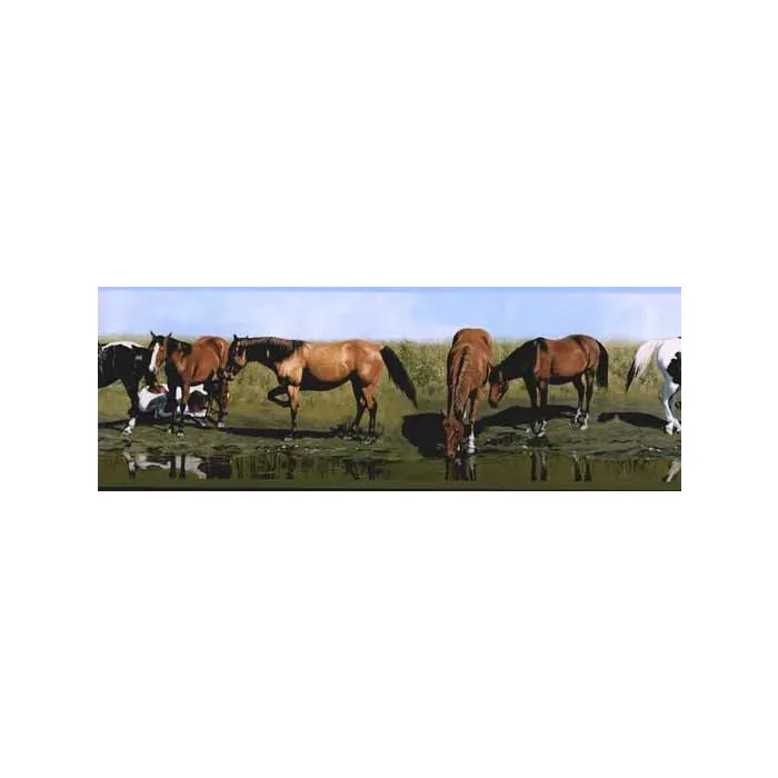Horses Drinking From the River Wallpaper Border York Wallcoverings