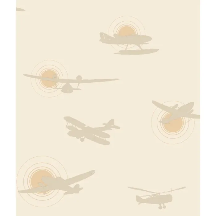 Friends Forever Airplane Silhouettes Wallpaper
