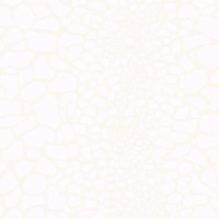 Friends Forever Giraffe Skin Wallpaper