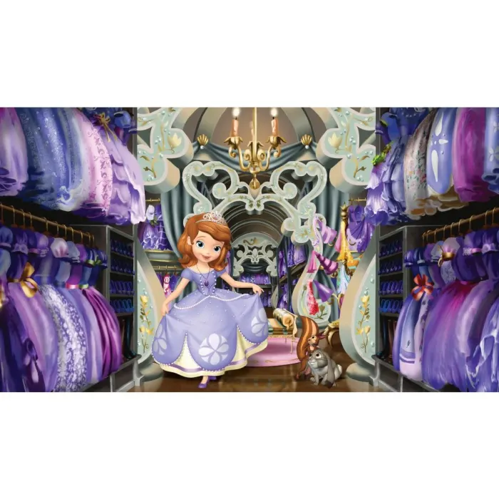 Walt Disney Kids Ii Sofias Closet Mural