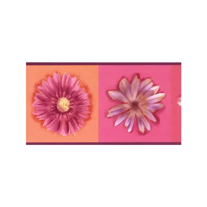 Two Tone Daisy Wallpaper Border