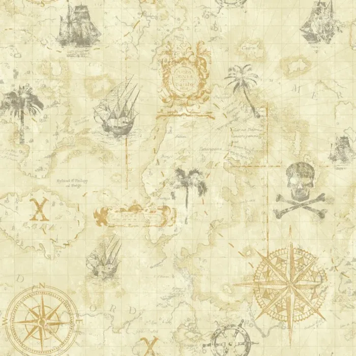 Cool Kids Pirate Map Wallpaper