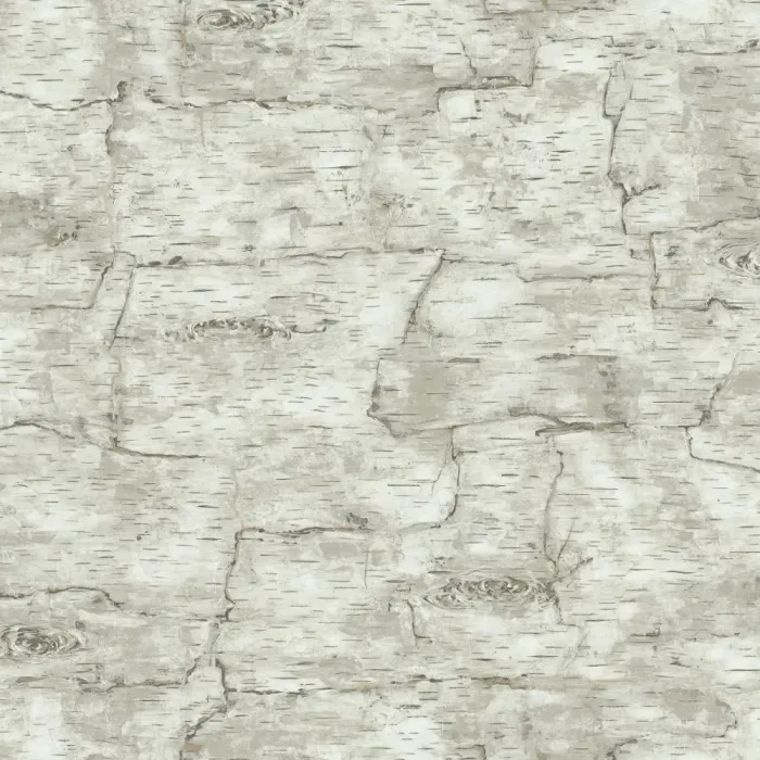 Lake Forest Birch Bark Wallpaper