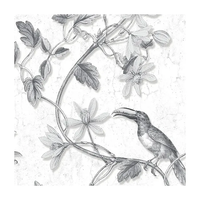 Toucan Toile Wallpaper Black Norwall Wallcovering MH36529