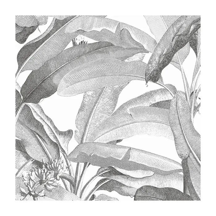 Polynesian Leaves Wallpaper Black and white Norwall Wallcovering MH36533