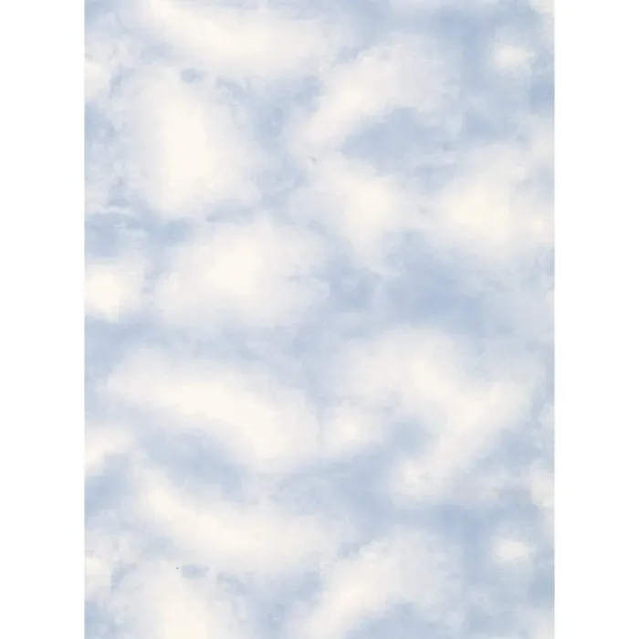 Lake Forest Lodge Cloud Wallpaper