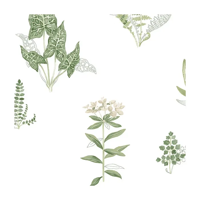 Ferns Wallpaper Green, Beige Norwall Wallcovering PA34227
