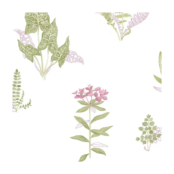 Ferns Wallpaper Pink, Green Norwall Wallcovering PA34248