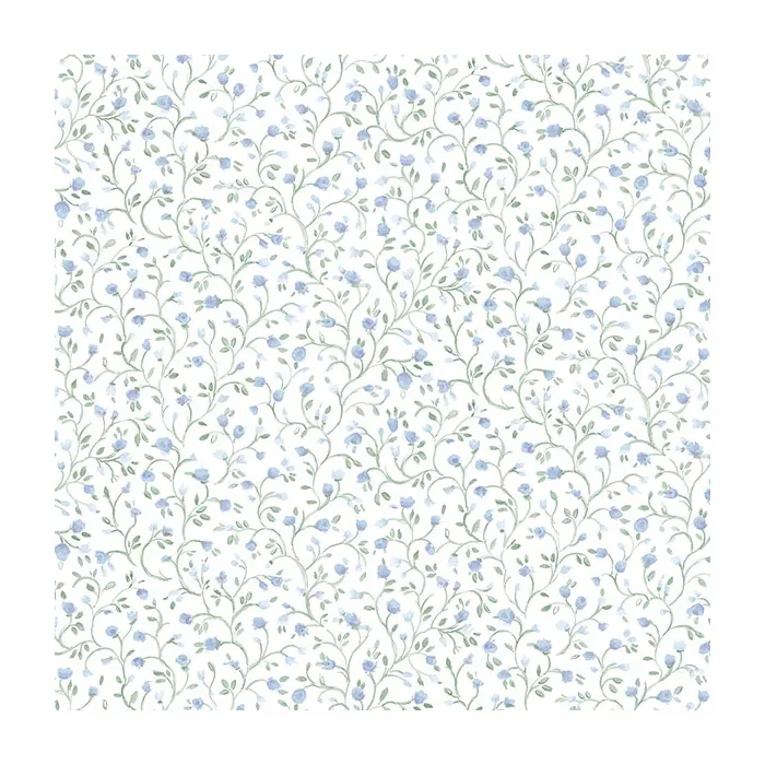 Rainbow Mini Wallpaper Blue, Green Norwall Wallcovering PP35539