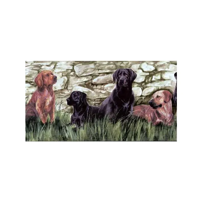 Brown Labradors Wallpaper Border