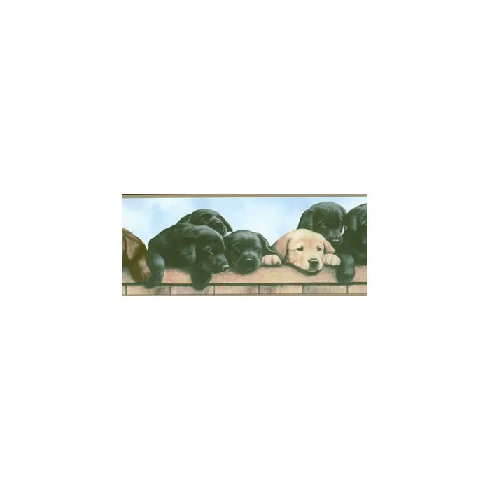 Labrador and Retriever Puppies Wallpaper Border WT1038BCS