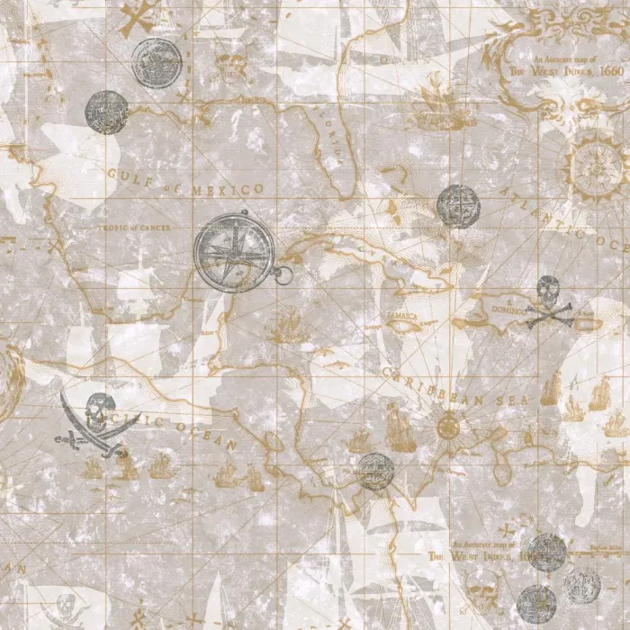 Charcoal and Silver Nautical Pirate Map Wallpaper