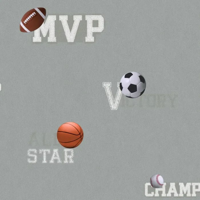 Boys Will Be Boys Sports Ball Wallpaper