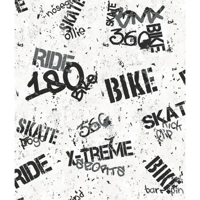 Boys Will Be Boys X-Treme Sports Wallpaper