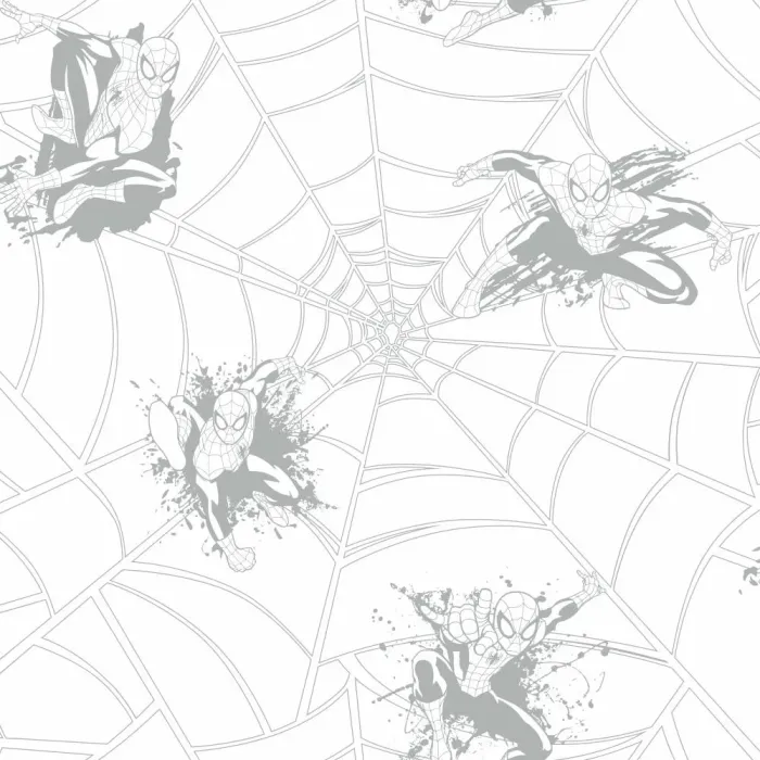 Boys Will Be Boys Spiderman Web Wallpaper