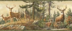 Garth Sand Whitetail Crest Portrait Wallpaper Border Chesapeake BBC48461B