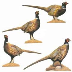 Pheasant Wallpaper Cutouts-3 packs left
