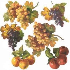Fruit Wallpaper Cutouts