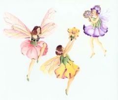 Fairy Wallies