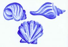 Seashell Wallies