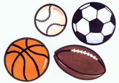 Sports Wallies