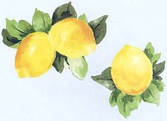 Lemon Wallies