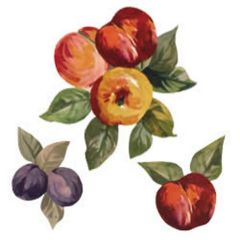 Sonoma Fruit Wallies