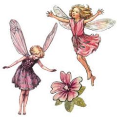 Fairy Wallies