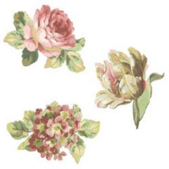 Anna Griffin Tulip and Roses Wallies