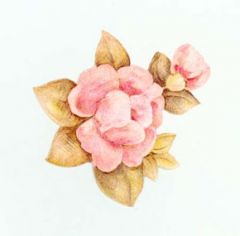 Pfaltzgraff Tea Rose Wallies