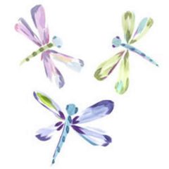 Dragonfly Wallies