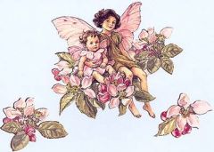 Apple Blossom Flower Fairies Wallies
