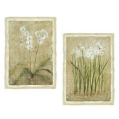 Narcissus and Orchid Wallies