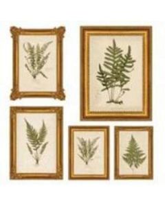 Fern Print Wallies
